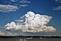 Cumulonimbus calvus