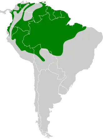 Distribución geográfica del mielerito cerúleo.