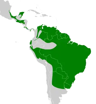 Distribución geográfica del vireón cejirrufo.