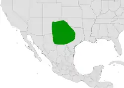 Cylindropuntia davisii