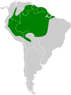 Distribución geográfica del dacnis carinegro.