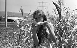 Dan Hadani collection (990044330280205171).jpg