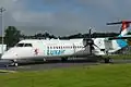 Roude Léiw como símbolo nacional en un avión de la aerolínea Luxair