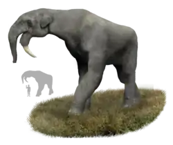 Impresión artística de un Deinotherium.