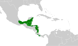 Distribución geográfica del trepatroncos sepia.