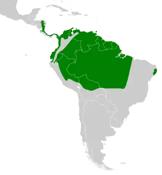 Distribución geográfica del trepatroncos fuliginoso.