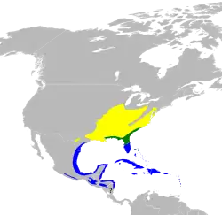 Nidificación Invernada Todo el año