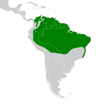 Distribución geográfica del trepatroncos piquirreto.