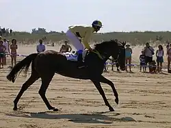 Derby Internacional de Loredo