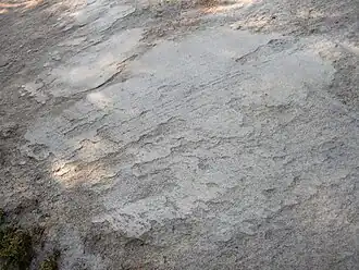 Detalle del pulidor de la Pierre Percée, Faÿ