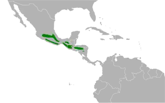 Distribución geográfica del pinchaflor ventricanelo.