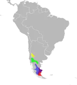 Rojo = D. darwinii Amarillo = D. leopardinus Verde = D. sextinctus Azul = D. bibronii