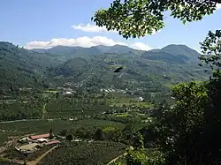 Plantación de café al sur de Orosi.