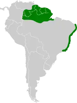 Distribución geográfica del rabudito de raquetas.