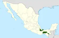 Disocactus macranthus