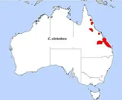 distribución natural