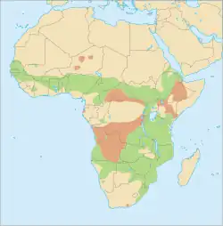 Distribución geográfica del facóquero común Rango probable, o hallazgos accidentales.
