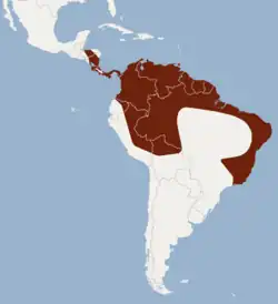Distribución del Micronycteris minuta por el norte de Sudamérica y parte de América central