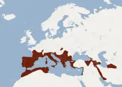 alt= R. e. euryale R. e. judaicus