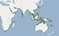 Distribución de T. aduncus