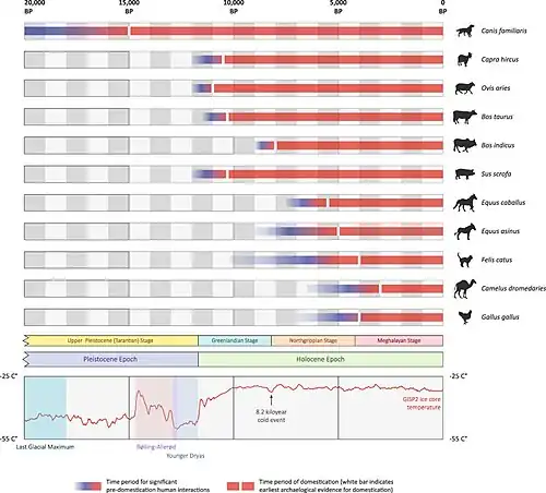 Cronología aproximada de la domesticación de 11 especies animales[25]​