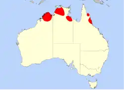 D. banksii distribución