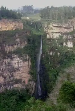 El salto del duende