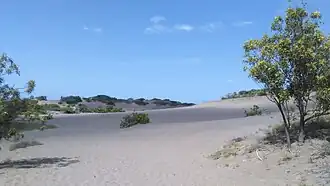 Dunas de Baní