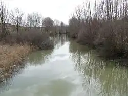 Río Duratón a su paso por el término de El Vivar