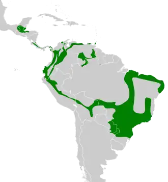 Distribución geográfica del batarito cabecigrís.