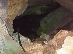 Cenote de la hacienda Dzoyaxché.