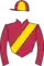 Horse racing silks