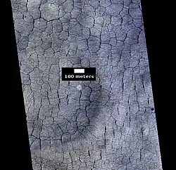 Vista en color del suelo poligonal