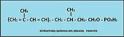 ESTRUCTURA DOLICOL FOSFATO