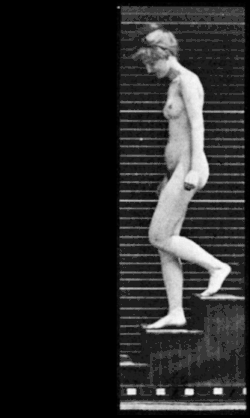 Idem., animación contemporánea