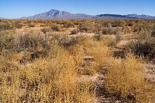 Lado Este del Valle de las Playas