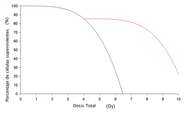 Este es un gráfico que muestra el efecto de fraccionar la capacidad de los rayos gama para producir la muerte celular. La línea azul es para las células que no tuvieron un período de recuperación, mientras que la línea roja es de las células que tuvieron un período de descanso y recuperación.
