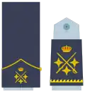 Divisa de teniente general (Ejército del Aire y del Espacio)