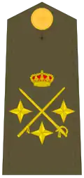 Teniente general