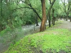 la naturaleza en estado puro