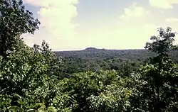 Una vista sobre una selva densa con árboles con árboles enmarcando los lados izquierdo y derecho. La selva se extiende hasta el horizonte, donde un cerro cubierto de bosque rompe la llanura. Escasas nubes están dispersas en un cielo pálido.