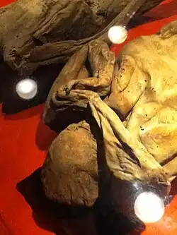 El enterrado muerto? no estaba vivo