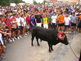 El torico de la cuerda