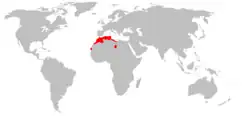 Distribución de Eliomys munbyanus