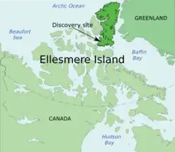 El sitio de descubrimiento de los fósiles de Tiktaalik y Laccognathus embryi en la isla Ellesmere.
