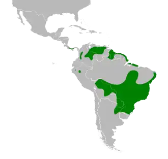 Distribución geográfica del coludo colicuña.