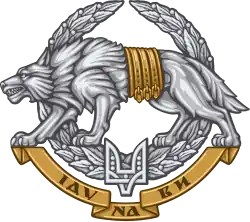 Operaciones Especiales