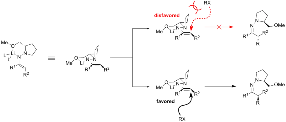 Stereoselectivity Para el alkylation paso del Enders' reacción