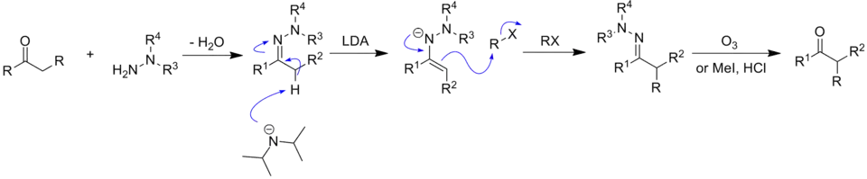Mecanismo de hydrazone alkylation