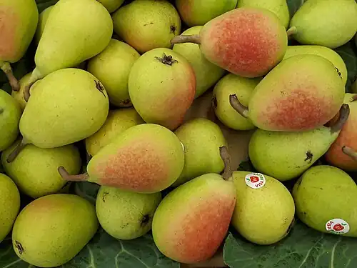 Peras 'Ercolina' D.O.P. Jumilla.